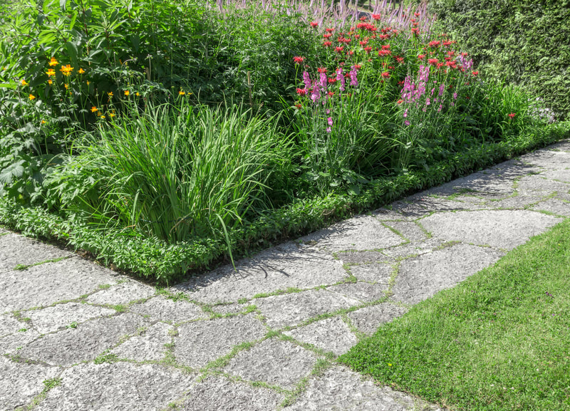 a garden foot path